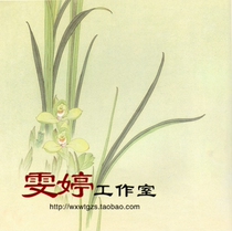 Meticulous painting drawing flower and bird painting orchid Chinese painting painting character customization
