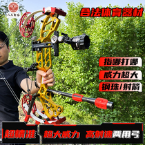 63Xpro dual-purpose composite steel ball bow new pulley compound bow outdoor short-axis archery high-precision six-three archery