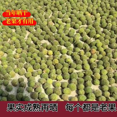 The wild sun-dried fruits of the mulberry tree in Sichuan, such as the fruits of the mulberry tree, are freshly harvested in the current year and dried in the countryside by themselves