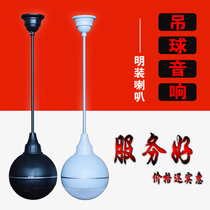 Min Clothing Ceiling Broadcast Suction Top Background Music Coaxial High Bass Pendant Ball Sound Supermarket Horn Speaker 20 W