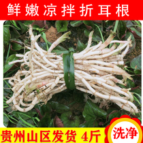 2 jin 4 Jin Guizhou specialty folding ear root fresh Houttuynia cordata cold ready-to-eat wild side root farm seasonal vegetables