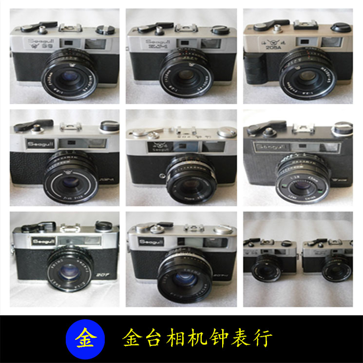 Phoenix Seagull 205 206 207 KJ-1 DF-1 pure mechanical entry film film photography camera