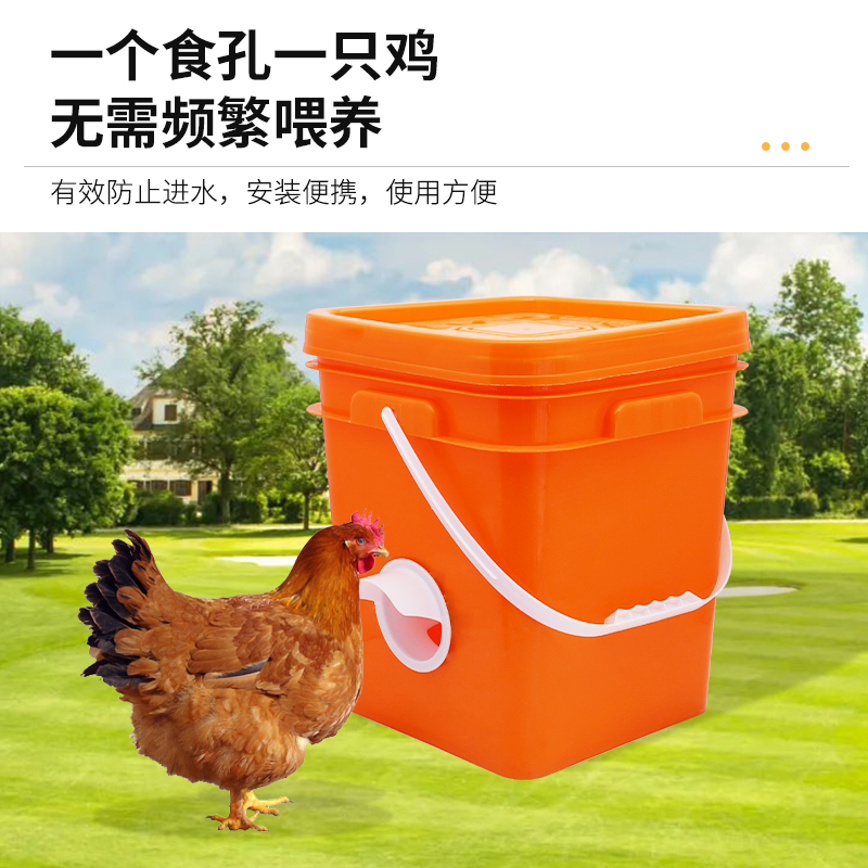 家禽自动喂食器：鸡鸭鹅的智能管家，解决撒料难题的神器！