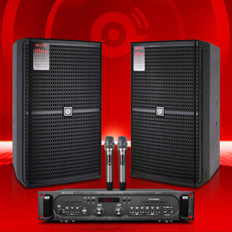 Mai Li Professional Bluetooth Audio Set Wireless Bluetooth Speaker Home KTV Singing Amplifier Stereo All