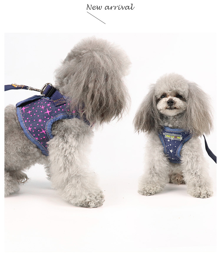 Teddy dog ​​dây xích chó nhỏ và vừa phong cách chó dây xích chó VIP chuỗi chó hơn gấu dây đeo mèo - Cat / Dog hàng ngày Neccessities đồ uống nước cho chó