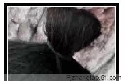 Extension cheveux - Chignon - Ref 235843 Image 3