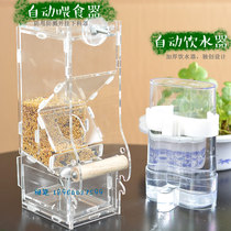 Spill-proof bird automatic feeder Xuanfeng tiger skin peony Golden sun Splash-proof parrot feeder Bird food box