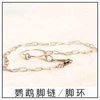 Cung cấp vẹt vừa và lớn Chất lượng cao bằng thép không gỉ trái cây nĩa ngô dĩa đồ chơi trái cây 龙猫 鸟笼 - Chim & Chăm sóc chim Supplies