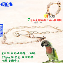 Parrot anklet Tiger skin peony Xuanfeng alloy u ring Starling bird ring Stainless steel parrot anklet Stand frame bird chain