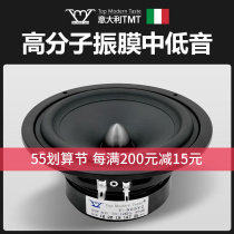 TMT Marton Tae St. HiFi class 5 inch speaker high quality hair burn grade home bass horn T-525YZ
