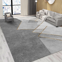 Carpet living room bedroom girl bedside blanket coffee table household room Nordic simple light luxury plush floor mat large area