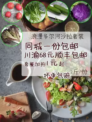 Fresh vegetable kale red leaf cherry Rob fruit cucumber salad set full 68