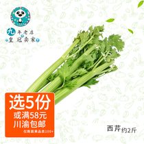 (Vegetables Full 58) Fresh vegetables Fresh Western cress Celery Green Vegetables A two-haggle