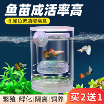 Peacock Fish Breeding Isolated Case Spawning Bucket Mother Fish Hatching Net Production House Small Fish Juvenile Fish Isolation Transparent Prolific Produce Box