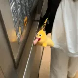 Плюшевая подвеска, игрушка для влюбленных, сумка, аксессуар, брелок, подарок на день рождения