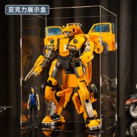 [Комбинация демонстрационной коробки] Оса-жук (звуковая и световая версия) + акриловая коробка