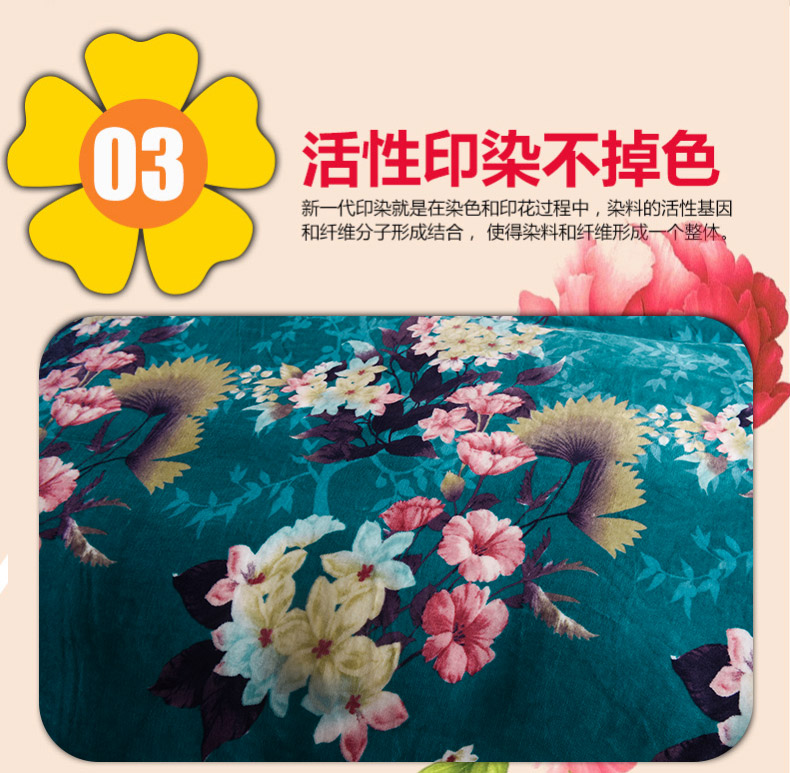 Một gia đình bốn nhung san hô dày ấm áp mùa đông chăn trải giường giường váy theo luật Levin flannel cashmere - Bộ đồ giường bốn mảnh bộ drap giường