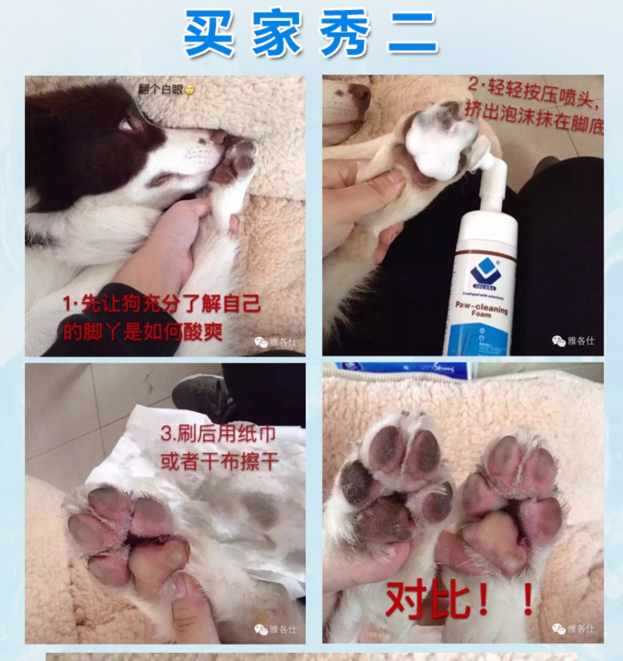 Jacobs Cleansing Bọt Liquid Pet Dog Cat Foot Wash Deodorant Wash Foot [Chính thức ủy quyền độc quyền] - Cat / Dog Beauty & Cleaning Supplies 	lược chải lông rụng cho mèo	