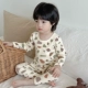 Белый красочный камень из слоновой кости