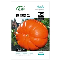 Семена тыквы Shouhe Giant 5 капсул в пакете [Купите 2, получите 1 бесплатно] Дыня может весить около 100-200 килограммов.
