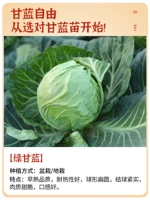 Каштановый