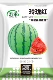 Linglong Red Cricket Small Awrmelon Seeding 20 зерен (купить 2 получить 1 бесплатно 1)