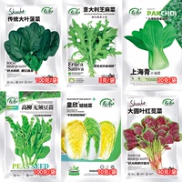 Шесть видов зеленого рта маленькие блюда