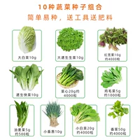 10 видов наборов семян овощного растительного происхождения+инструменты+3 пачки удобрения