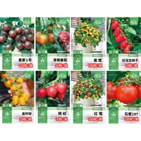 8 видов пакета семян томатов