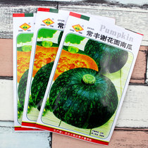 Japanese cabbage pumpkin seeds green shell pumpkin seeds Xie flower noodles Sweet glutinous pumpkin Four Seasons seed seeds