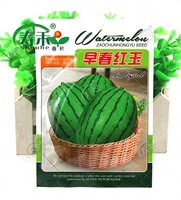 Семена арбуза Ранней весны