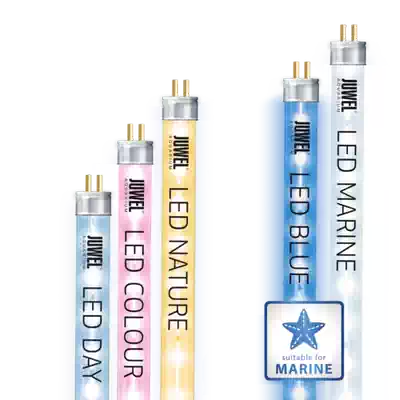 German black diamond fish tank aquarium L special LED lamp A variety of color options can not be replaced T5 fluorescent lamp