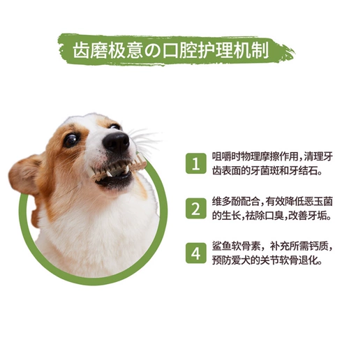 Япония Dentdoc Dr. Dante Dog STEP FOT FAT FATS Чистый зуб чистый кость