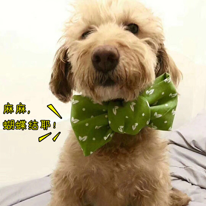 earth rated dog saliva towel collar knots neck scarves scarf Triangular Scarf Purse Accessories for Pet Saliva