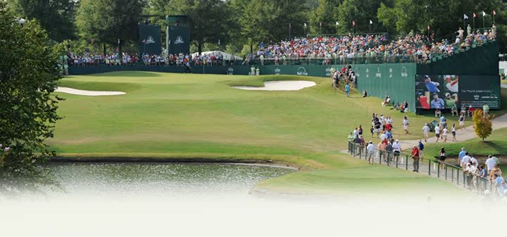 Sac de golf - Ref 39545 Image 22