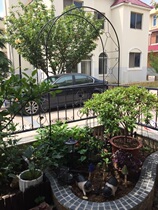 Garden Park Arch rack Climbing Vine eurostyle Flower Racks Vines Moon season Climbing Iron Wire Lotus Racks Plus Coarse