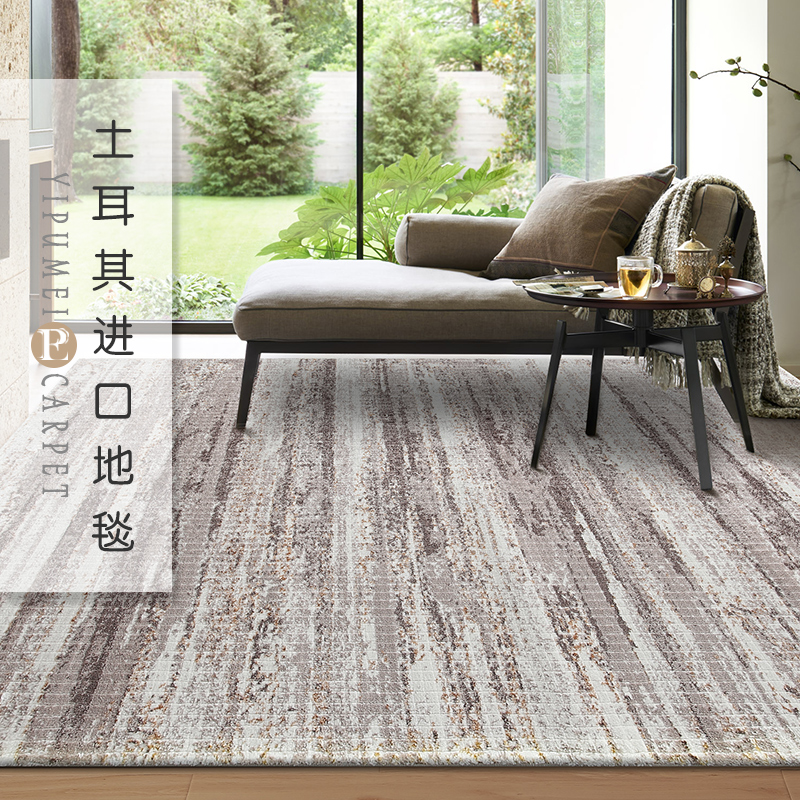 Turkey Import Carpet Living Room Bedroom Modern Minima Nordic American Style Bedside Thickened Sofa Tea Table Mat