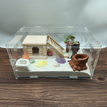 (Bag Live) Land hosts crab Pet Living complete suit sent for ornamental crab with supplies rearing box