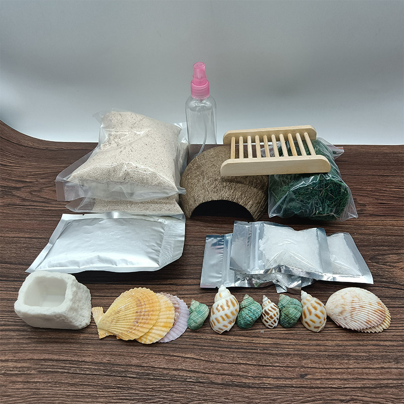 Full set of live hermit crabs on land, tankless breeding box package with pet crabs and supplies, live package