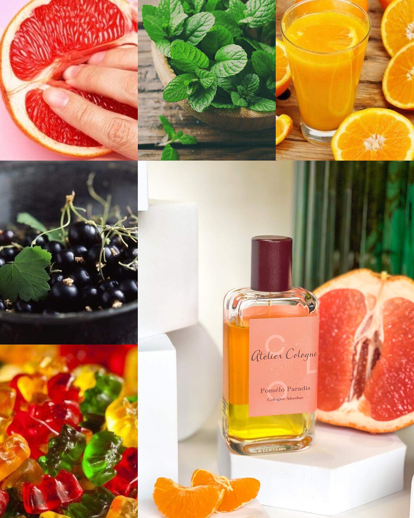 Bonded with a refreshing grapefruit eosiny grapefruit unique to grapefruit fragrances 30ml without leather cover for 19 years 8 months