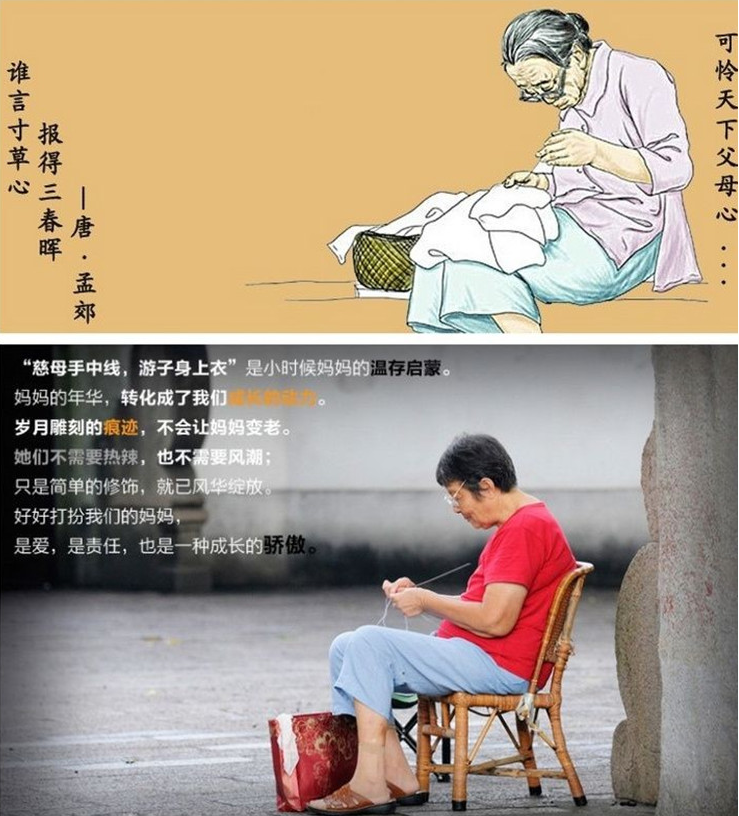 Pantalon collant Moyen-âge en coton - Ref 748323 Image 17