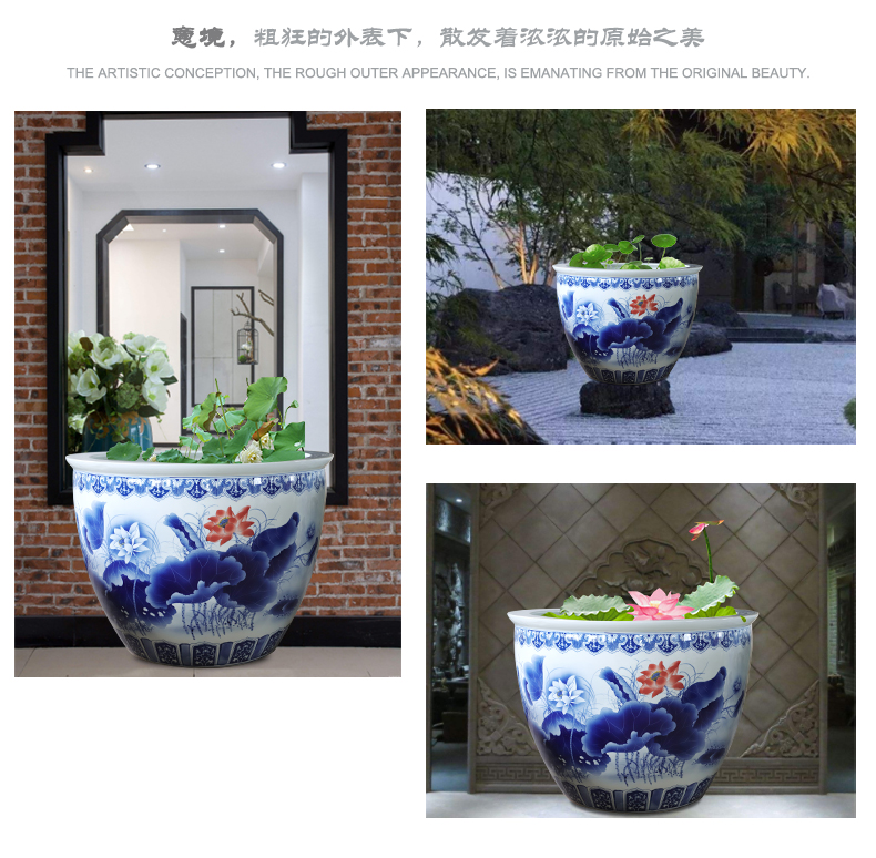 荷塘秋色_10.jpg