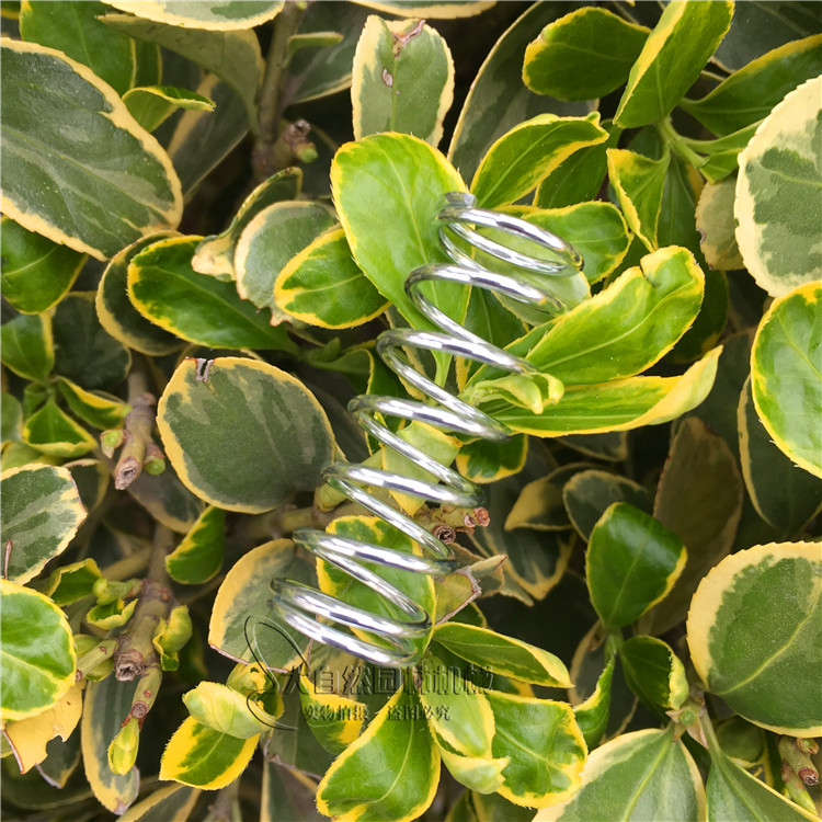 Stille beat straw head spring Steele FS120 cutting and filling machine for grass head spring cutting machine accessories