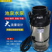 Brocade Carp Pool Circulating Pump Pool Spring Filter Pumps Large Flow Submersible Pump Stainless Steel Pumping Water Pump Silent Clear Water Pump