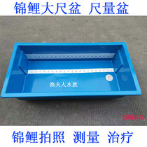 Koi measuring basin ruler basin special blue basin for longfish 1 2 meters square basin waterproof measuring pool treatment basin