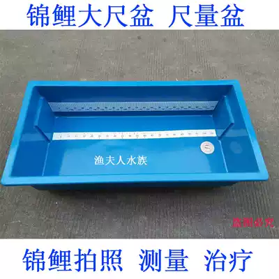 Koi measurement basin feet Basin Red Dragon dedicated Blue Basin 1 2 meters square pots ruler waterproof measure pool treatment basin