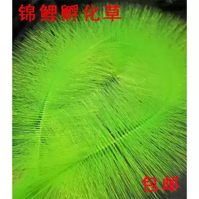 Koi pond hatching grass fish pond ornamental fish hatching brush propagation hatching grass oviposition grass aquaculture fish nest