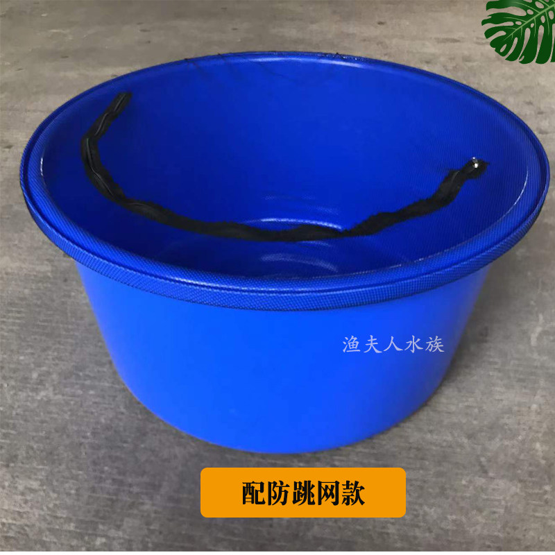 Brocade Carp Blue Basin Special Weekly Turn Blue Plastic Basin Isolated Treatment Fish Tank Measurement Basin Temporary Large Basin Measurement Ruler Basin