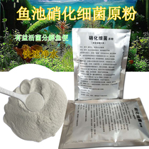 Fish Tank Nitrogenizing Bacteria Brocade Lithium Fish Pond Nitrobacteria Dry Powder Water Purification Digestive Bacteria Live Bacteria Raw Powder Aquatic Ornamental Fish