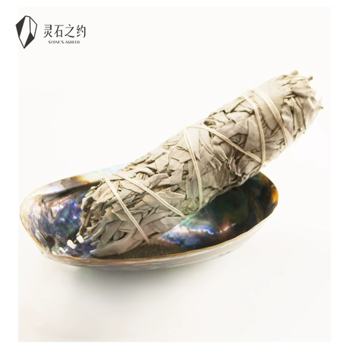 Lingshi Covenant Natural White Lavility White Sega New Zealand Abalone Shellfish Большие пакеты в Калифорнии, импортированные в Соединенных Штатах